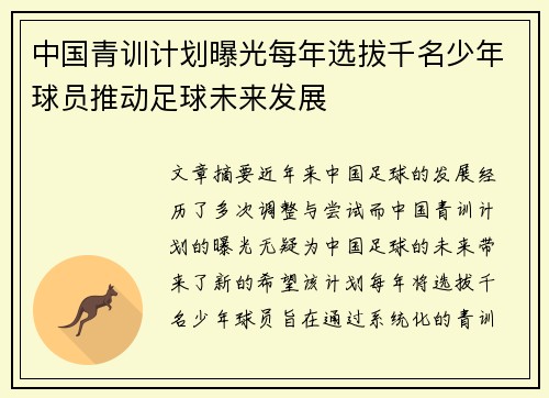 中国青训计划曝光每年选拔千名少年球员推动足球未来发展