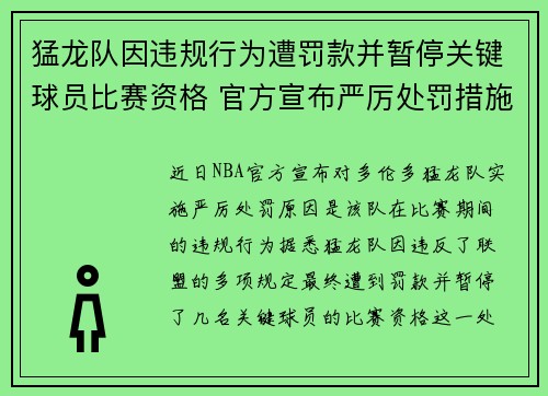 猛龙队因违规行为遭罚款并暂停关键球员比赛资格 官方宣布严厉处罚措施